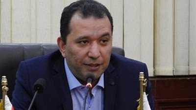 وفد ألمانى يبحث انشاء اكاديمية للتعليم الاساسى