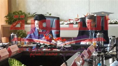 ليو يان دونغ: مصر نموذجا يحتذى به فى البلدان العربية