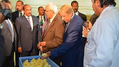 بالصور| ننشر تفاصيل زيارة الرئيس الموريتاني للإسماعيلية 