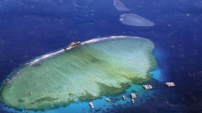 بالفيديو| مفاجأة خطيرة من باحث بجامعة برلين بشأن 