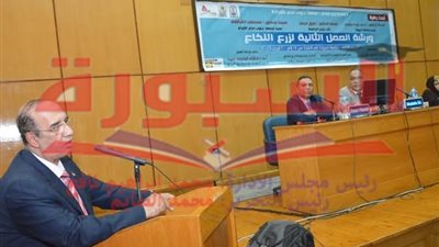 جامعة أسيوط تنظم ورشة العمل الثانية لزرع النخاع