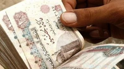 بالمستندات| المالية تحدد قواعد صرف المرتبات والإجازات والترقيات للعاملين بالدولة  