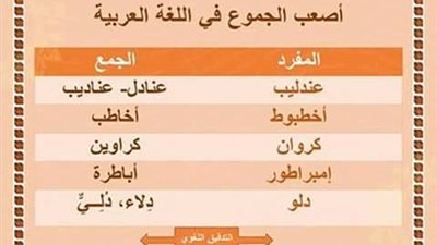 صحح لغتك : ننشر أصعب الجموع في اللغة العربية 