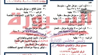 بالمستندات| القوي العاملة تعلن عن 13 ألف وظيفة لخريجي الجامعات.. ننشر التفاصيل