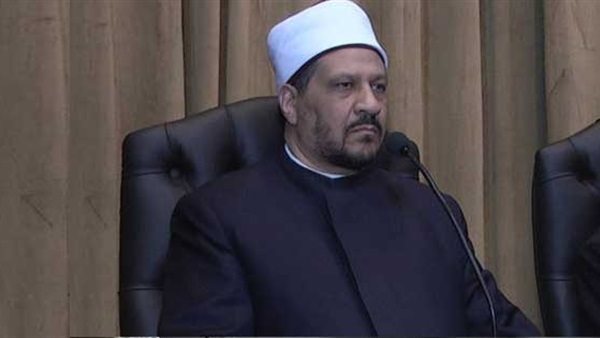  الدكتور مجدى عاشور،