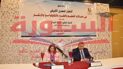 الشيحى للقارة الأفريقية أولوية فى ثوابت السياسة المصرية 