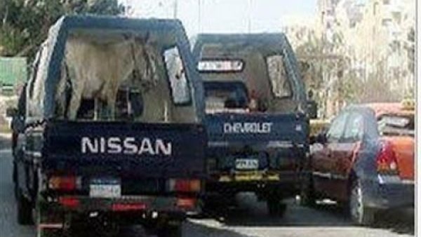 صورة ارشيفية 