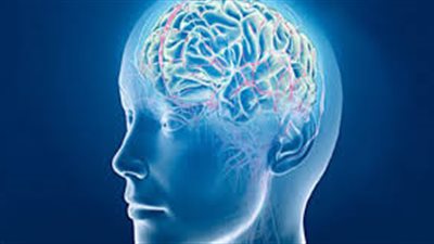 عاجل ... تحميل المراجعات النهائية في مادة علم النفس لطلاب الثانوية العامة