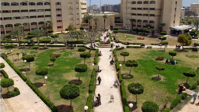 جامعة دمياط تعلن عن وظائف لاعضاء هيئة التدريس.. ننشر التفاصيل