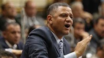 نائب برلمانى:احتساب المعاش على الاجر الشامل وليس الاساسى