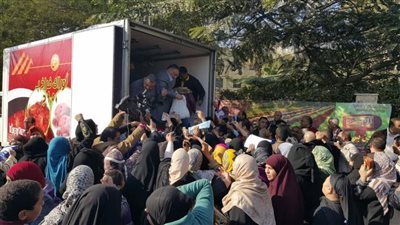 التموين: انطلاق قوافل سيارات أوراك الدواجن المحلية اليوم بالمحافظات