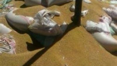 بالصور| ضبط 20 ألف طن أقماح فاسدة داخل شونة باسيوط