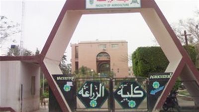 زراعة القاهرة تعلن عن شروط التحاق الطلاب بالكلية