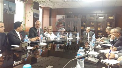 وزير الكهرباء يلتقى 4 علماء من الطيور المهاجرة فى الطاقة النووية 