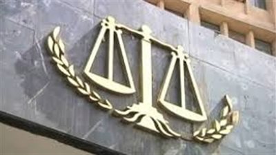 سنة حبس وغرامة 20 ألف جنيه لصاحب صفحة شاومينج