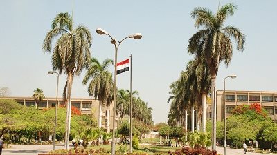 ورشة عمل لزيت النخيل الأحمر بين زراعة عين شمس وماليزيا