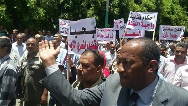 مظاهرات أسوان