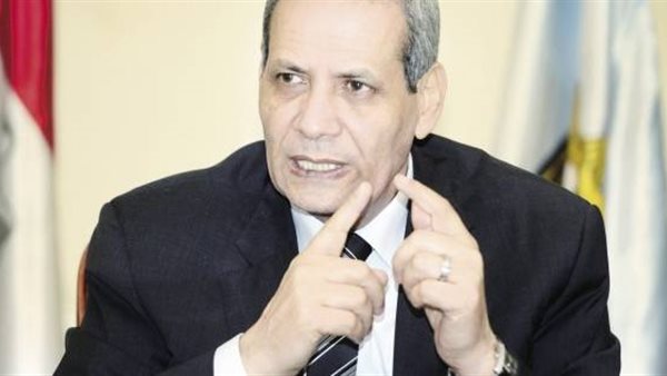 الدكتور الهلالى الشربينى