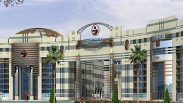 الجامعة المصرية الصينية