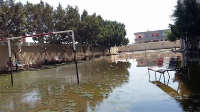 عاجل.. الى الهلالى.. غرق مدرسة سيد حمودة الابتدائية بالغربية بمياه المجارى.. الدارسة على الأبواب 