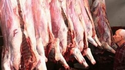 مجمعات النيل تضخ كميات كبيرة من اللحوم بسعر 60 جنيها للكندوز