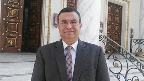 النائب شكرى الجندى