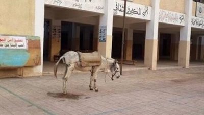 لجنة التعليم :رصدنا غياب جماعي طلاب الثانوية والغاء بدل الضيافة في المدارس وتأخر وصول الكتب 