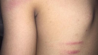 التعليم : أحالة واقعة تعدي معلم بالعجوزة علي طالب للشئون القانونية 