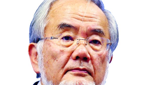 الياباني يوشينوري