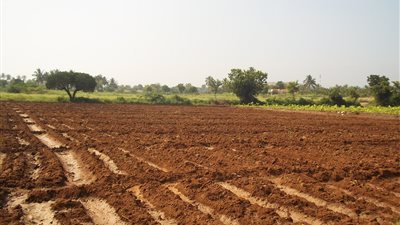 عاجل.. ننشر كراسة شروط المرحلة الأولى للحصول على 10 أفدنة للشباب فى مشروع الـ 1.5 مليون فدان بنظام التمليك 