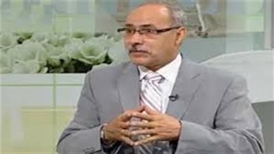 استاذ الاعلام بجامعة المنيا: