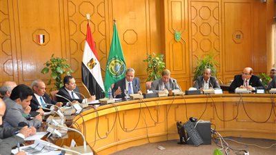 الهلالى: تم حصر جميع مشكلات التعليم وتم وضع حلول تقليدية وأخرى غير تقليدية لها