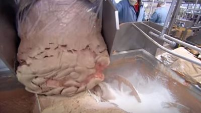 بالفيديو| تناول السوسيس يسبب 4 أنواع من السرطان