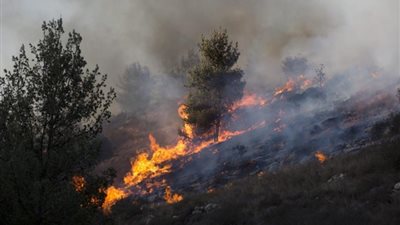 استمرار الحرائق بأسرائيل ..والشعب المصري 
