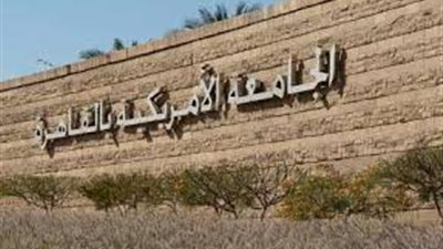 النتائج الرئيسية لمشروع 