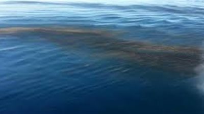 بلاغ بوجود بقعة زيت بنهر النيل بالاقصر