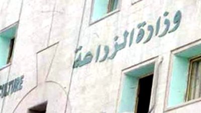 زراعة القاهرة :ازالة 6 حالات تعدى بالتبين 