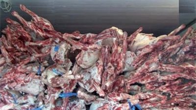 ضبط كميات من اللحوم والاسماك والدواجن غير صالحة للاستهلاك الادمى