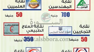 بالأرقام| ننشر معاشات أعضاء النقابات المهنية في مصر: 