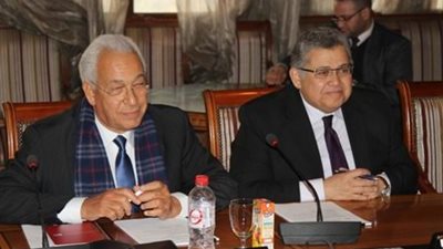 المبادرة المصرية اليابانية للتعليم مشروع تنمية الموارد البشرية  و الكوادر المصرية