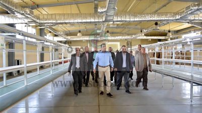 الأقصر تنتهى من انشاء اول مصنع لتصنيع وانتاج لمبات 