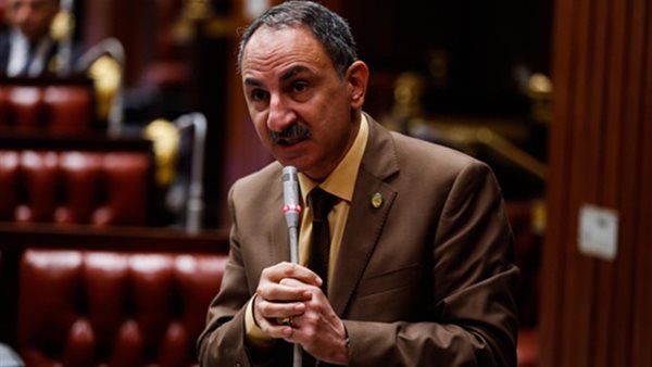 مجدى ملك عضو مجلس