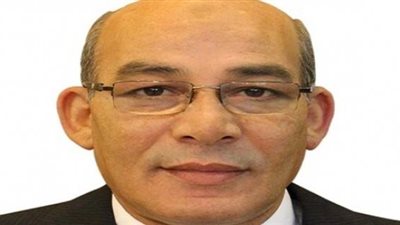 من هو عبدالمنعم البنا وزير الزراعة الجديد؟