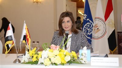 وزيرة الهجرة تلتقى عدد من سفراء العالم 