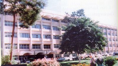 زراعة المنوفية: فحص 74704 نخلة خلال شهر فبراير