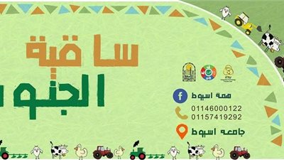 غداً بجامعة أسيوط.. الحاضنة التكنولوجية 