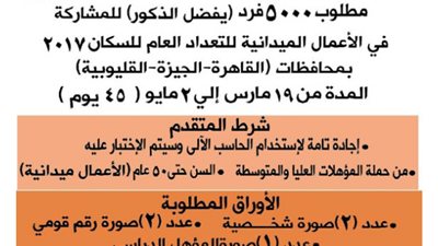 براتب 3000 جنية الحكومة تعلن 5000 فرصة عمل للشباب.. ننشر الاعلان