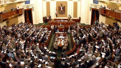 نائب برلماني: مفيش تعليم فى مصر من أول ابتدائى حتى الجامعة.. ويجب إعادة هيبة الأستاذ الجامعى