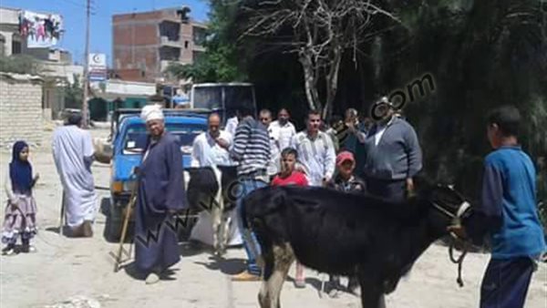 صورة ارشيفية