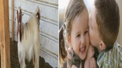 عضوبمجلس اباء مدرسة 